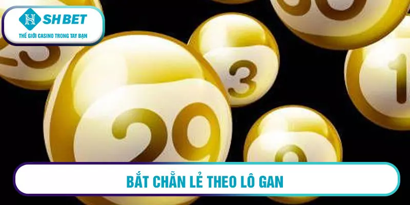 Bắt chẵn lẻ theo lô gan